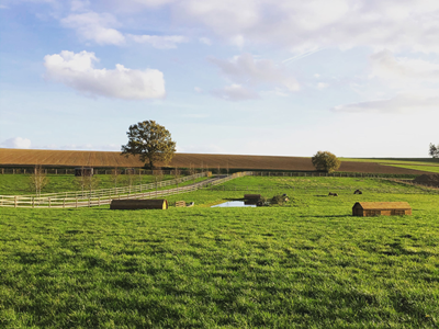 Mardi 05 Mai - 17h00 à 18h00